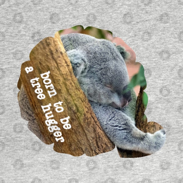 Tree Hugger Koala by radiogalaxy